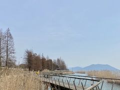 -西京湾花海