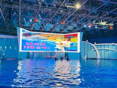 -海合安青岛极地海洋公园