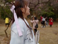 -武汉大学-樱园