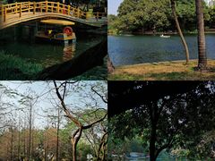 -晓港公园