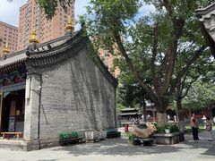 -护国法轮寺