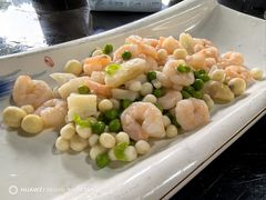 -张鸟园农家乐(张鸟园店)