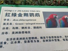 -合肥野生动物园