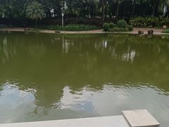 -黄埔荔枝公园