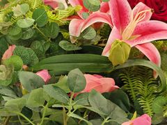 -六婶西关小厨(光塔路店)