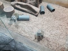 -长沙海底世界