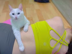 -齐伽生活馆·瑜伽·普拉提·阿育吠陀