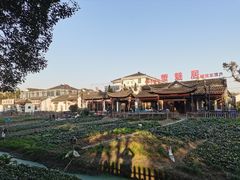 -莲花岛景区