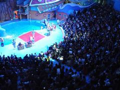 -烟台海昌鲸鲨海洋公园