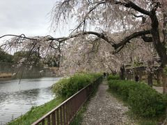 -名古屋城