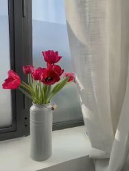 -安那般那皮肤年轻化ANAPANA