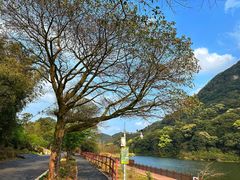 -广州市石门国家森林公园