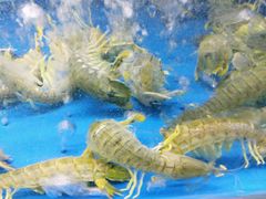 -徐记海鲜(大明宫|北二环店)