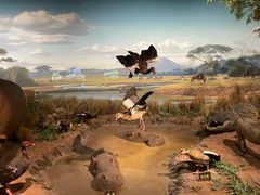 -陕西自然博物馆