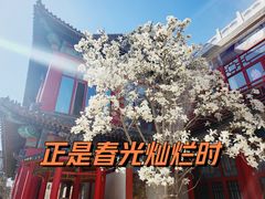 -华声天桥民俗文化园