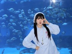 -南昌融创海世界