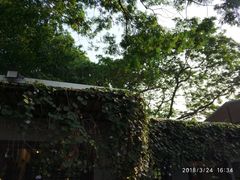 -莓园冰淇淋店