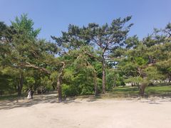 -景福宫