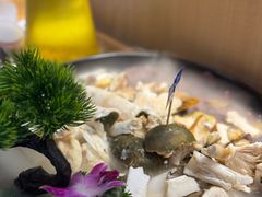 -一朵菌·野生菌探索家火锅(南亚店)