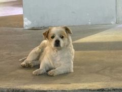 -STELLAR NIGHT CLUB星际酒吧(明发商业广场店)