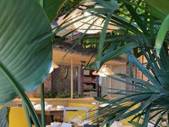 -老号尤兔头(幸福店)