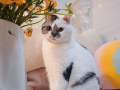 -循礼门鲜花花市(武汉循礼门店)