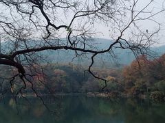 -紫霞湖公园