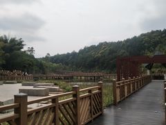 -神光山国家森林公园