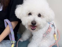 -美联众合动物医院·24h京西诊疗中心