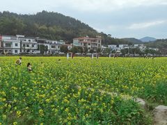 -红山村