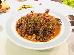昂公-久宴·天目湖大鱼头(恐龙园店)