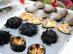 -蚝专家(北滘店)