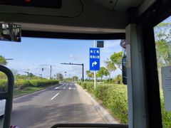 -南汇嘴观海公园