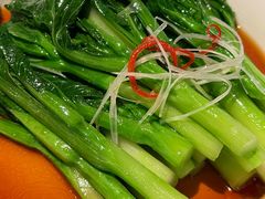 -茶人村·前滩江景雅宴(上海首店)