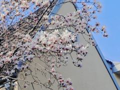 -颐和路民国时期公馆风貌区
