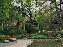 -香港大学
