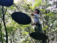 -衢州大荫山丛林飞越探险乐园