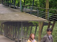 -西湖风景区-江洋畈生态公园