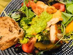 gaga超级沙拉-gaga(深圳南山益田假日广场店)