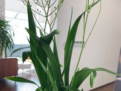 -宁波宝信宝马4S店(江北日湖店)