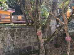 -普陀山慧济禅寺