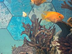 -福州罗源湾海洋世界旅游区