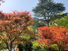 -兰溪青年公园