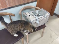 -宠福鑫动物医院(城北分院)