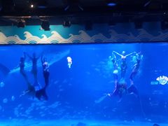 -烟台海昌鲸鲨海洋公园