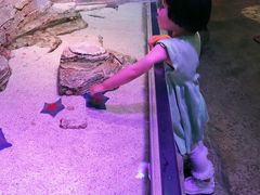 -沈阳海洋探索中心