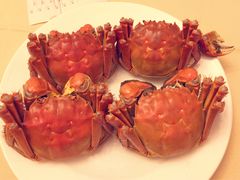 -王宝和酒家(黄浦店)