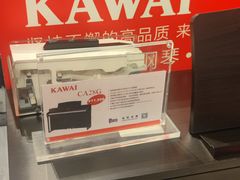 -柏斯音乐艺术中心·钢琴·吉他(世纪金源店)