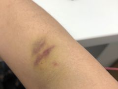 -瑞慈体检上海普陀机构