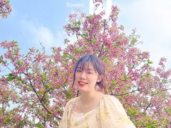 -天适樱花悠乐园